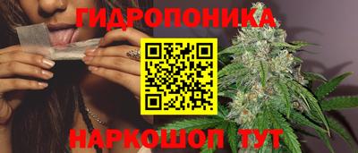 прущие крисы Краснокаменск