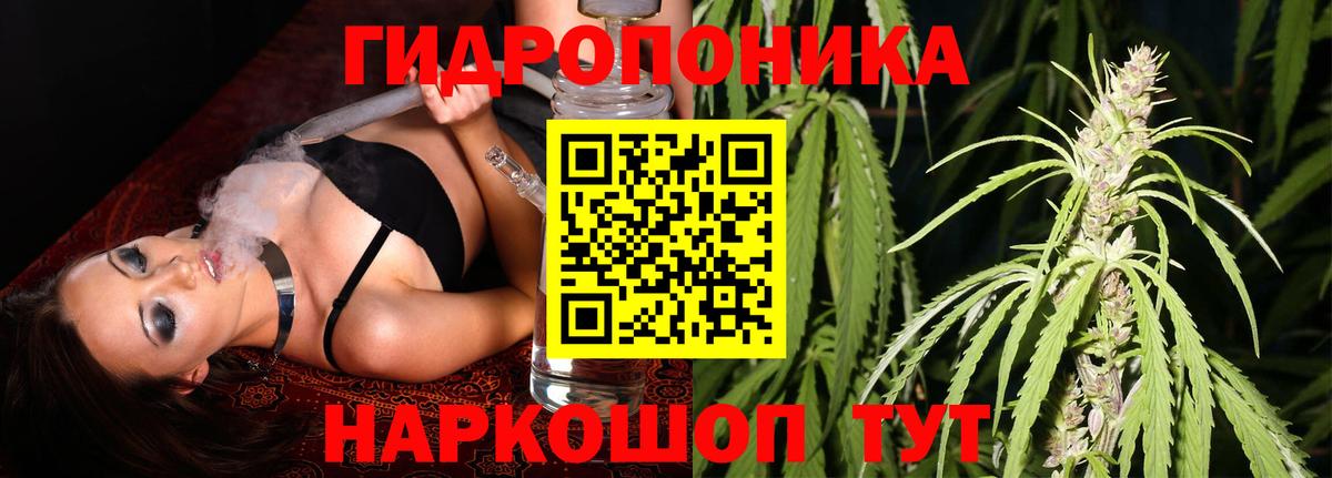 Карпинск  Бошки Шишки SATIVA & INDICA  Бошки марихуана план  Вход с VPN 